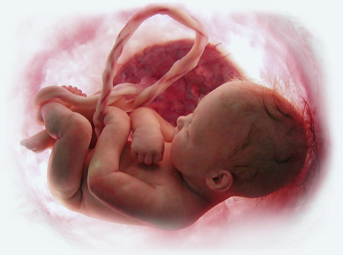 10 reasons for umbilical cord blood and tissues collection - Cord